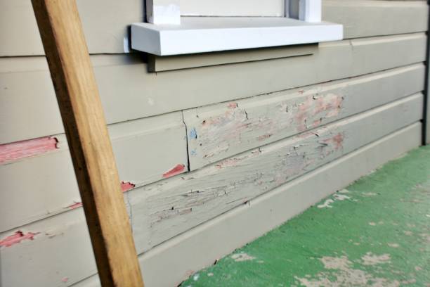Best Construction Debris Removal  in Waverly, MI