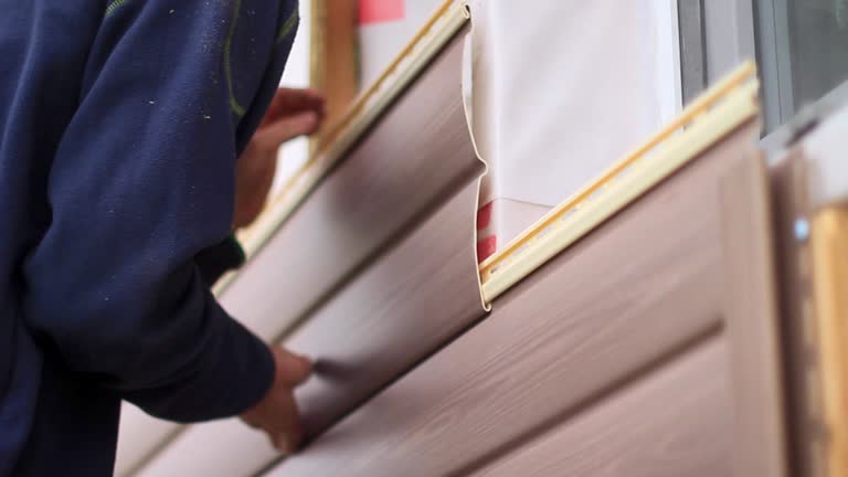 Best Moving and Downsizing Cleanouts  in Waverly, MI